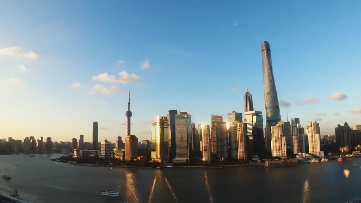 17842681第3页