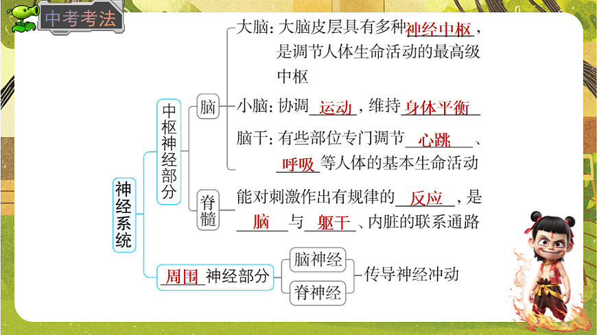 10.1.1神经系统的组成及反射--北师大版（新教材）七年级生物下册培优备课课件第7页