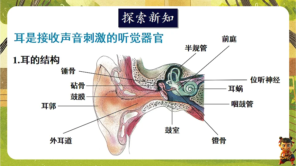 17842967第3页