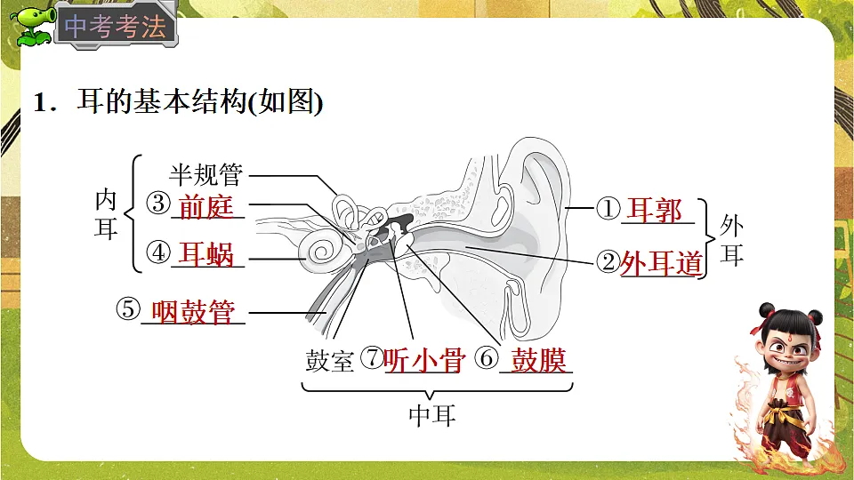 17842967第4页