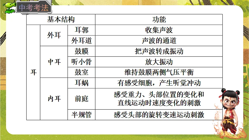 17842967第5页