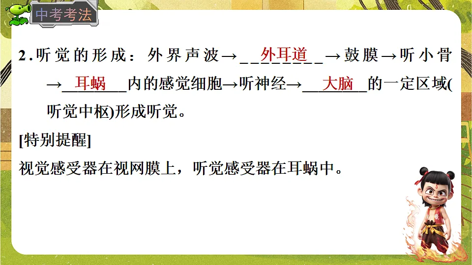 17842967第6页