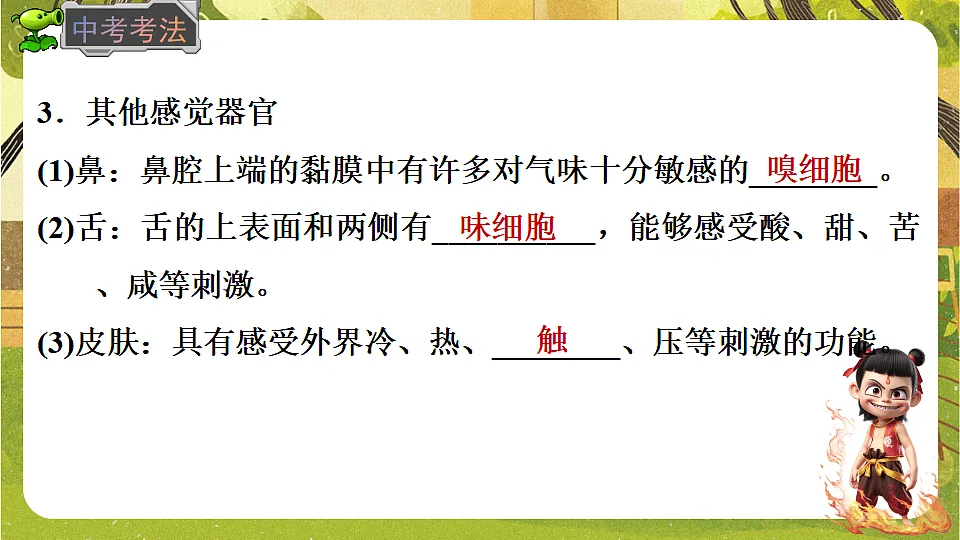 17842967第7页