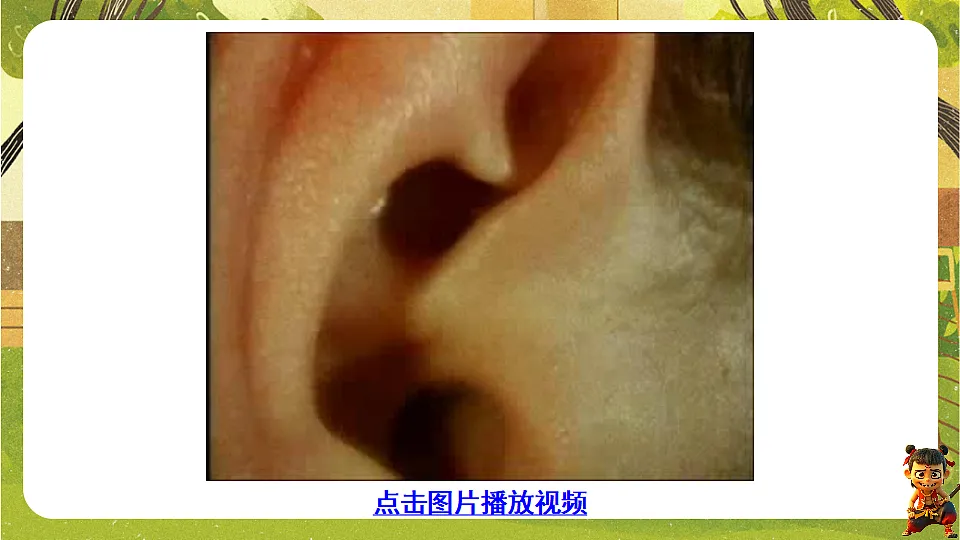 17842967第8页