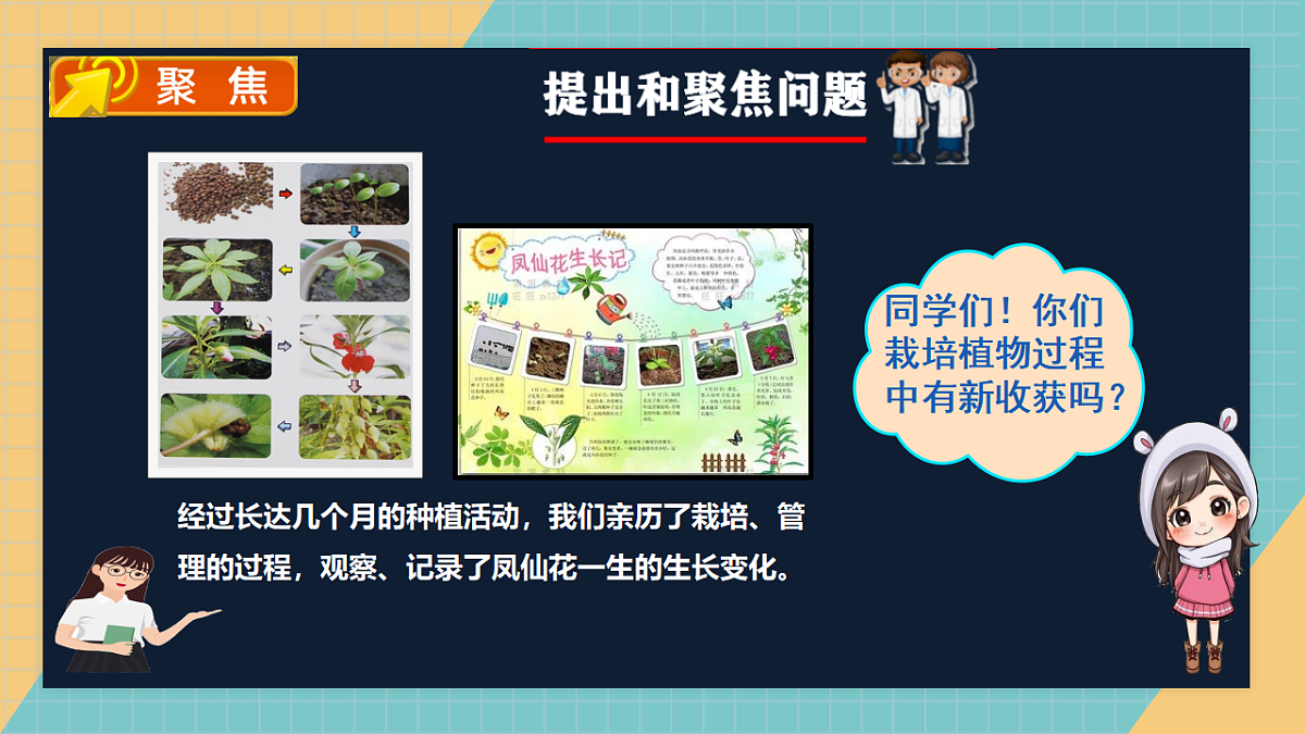 教科版四年级下册科学1.8《凤仙花的一生》课件（26张）第2页