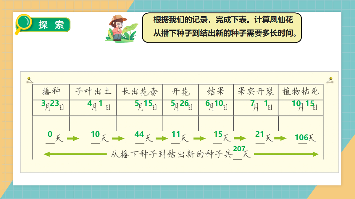 教科版四年级下册科学1.8《凤仙花的一生》课件（26张）第8页