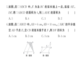 初中数学新华东师大版八年级下册第17章 综合训练作业课件（2026春）（放映显示答案）