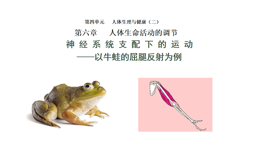 17844448第1页