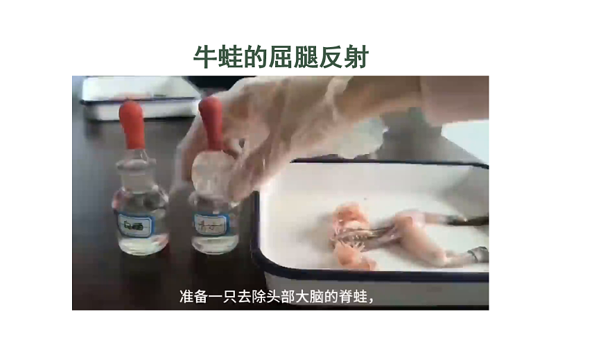 17844448第2页