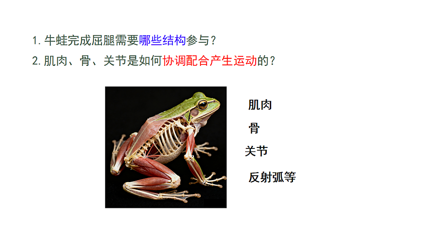 17844448第3页