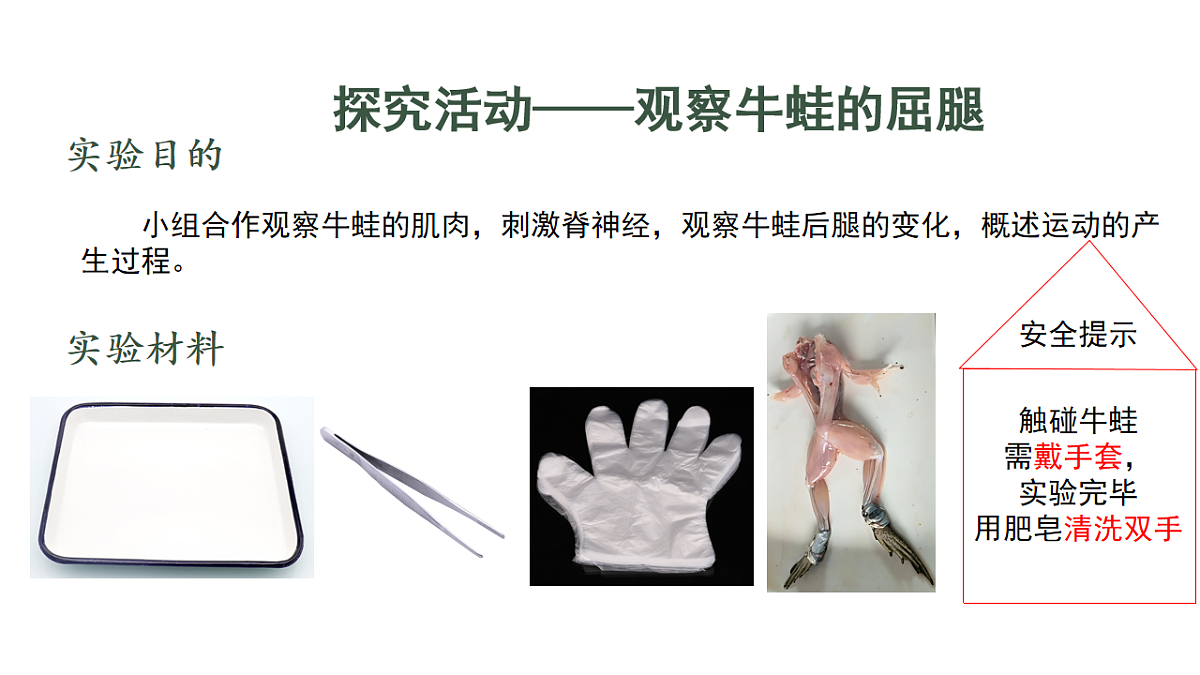 17844448第4页