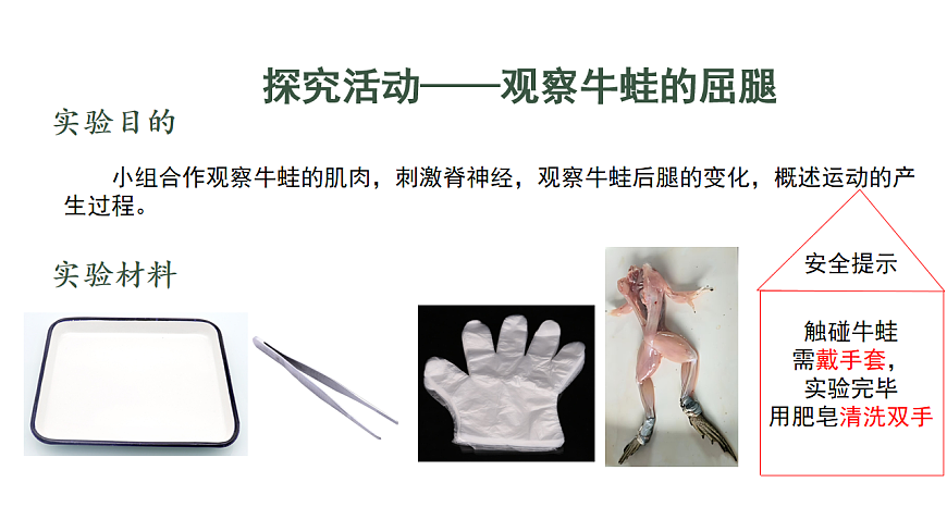 17844448第4页