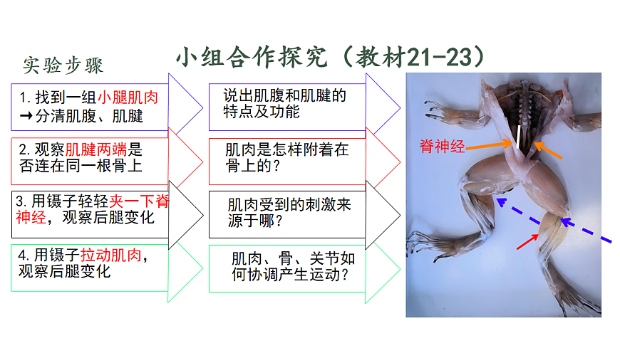 17844448第5页