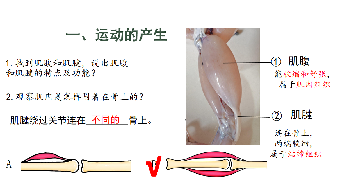 17844448第6页