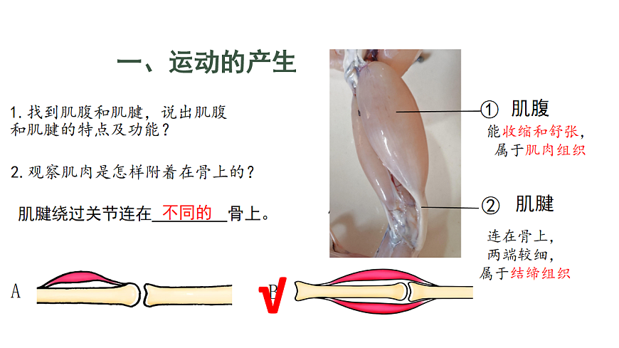 17844448第6页
