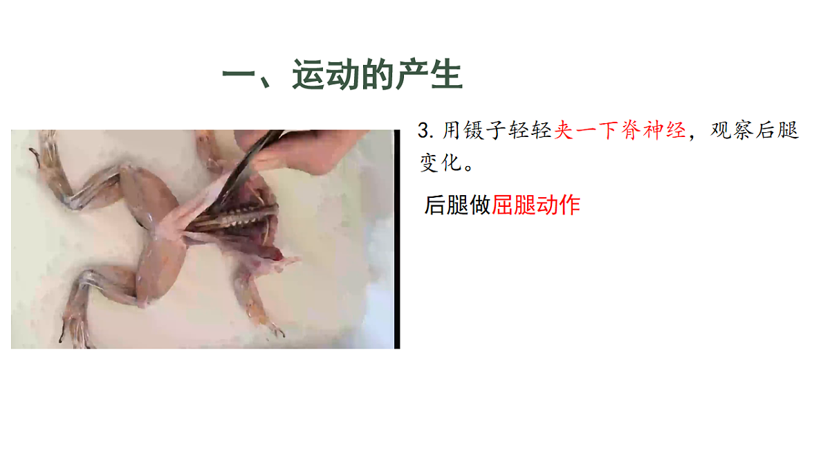 17844448第7页