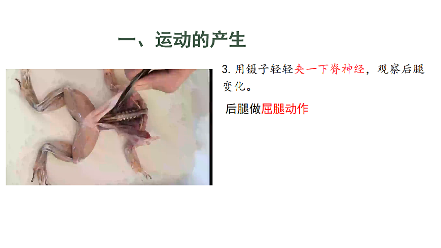 17844448第7页