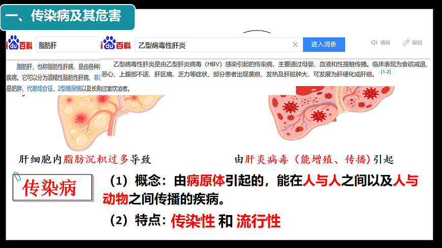 初中  生物  人教版（2024）  八年级上册4.7.1 传染病及其预防 课件第3页