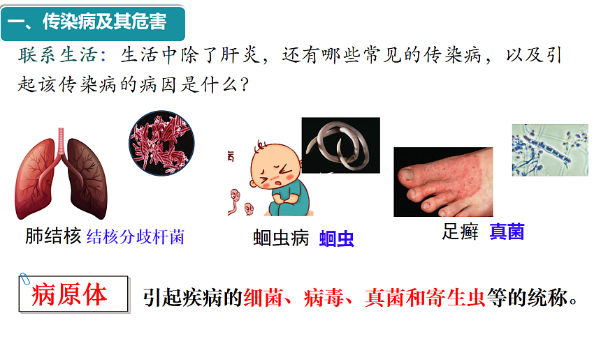 初中  生物  人教版（2024）  八年级上册4.7.1 传染病及其预防 课件第4页