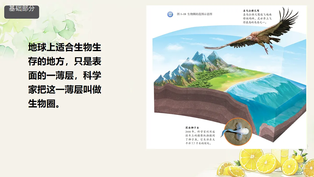初中 生物 人教版（2024） 八年级上册5.1.3 生物圈 课件第6页