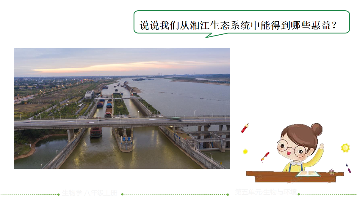 17844707第2页