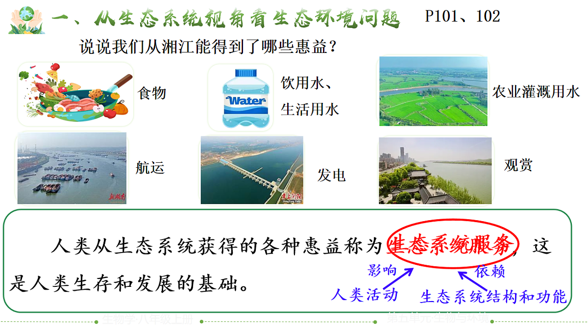 17844707第3页
