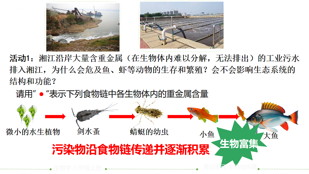 17844707第4页