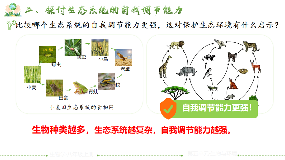 17844707第6页