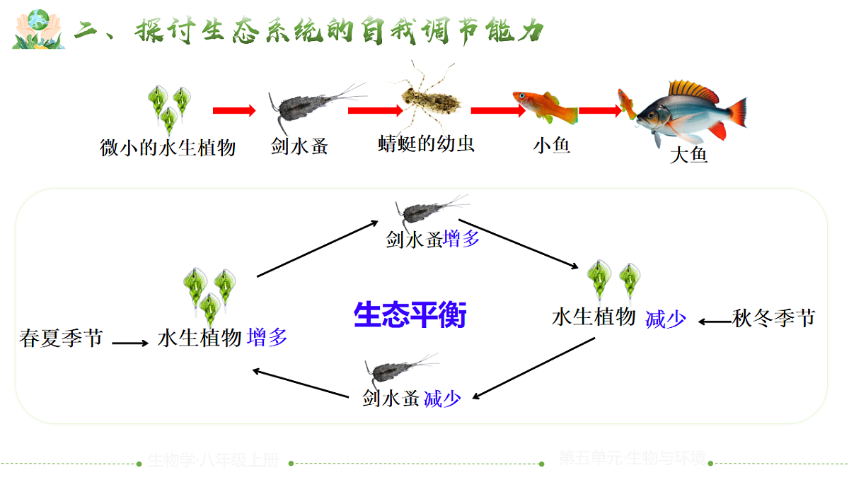 17844707第7页