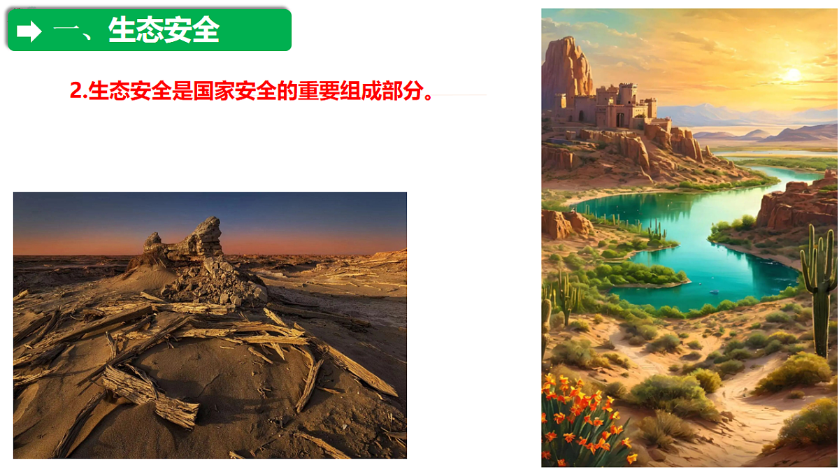 初中 生物 人教版（2024） 八年级上册5.2.2 维护生态安全 课件第5页