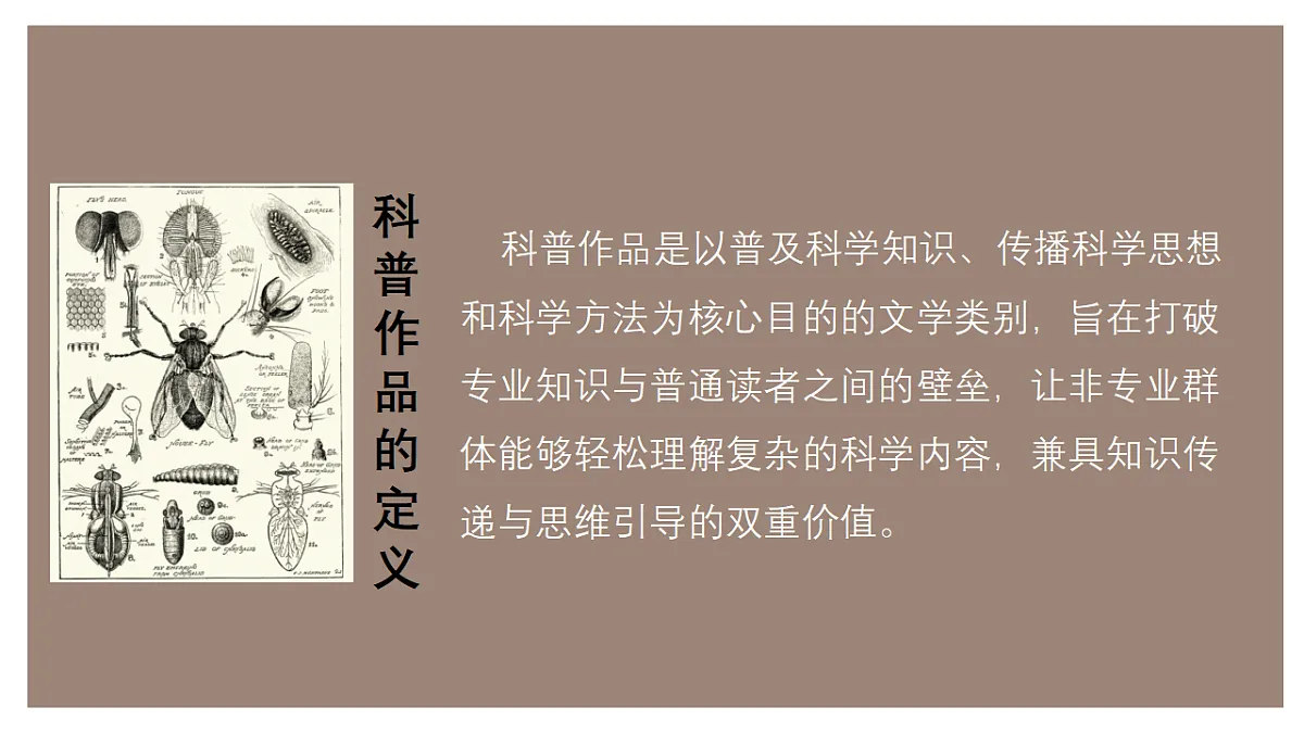 第五单元 第1讲：导读课(课件）-2025-2026学年八年级语文下册 名著 整本书阅读《昆虫记》（统编版2024）第4页