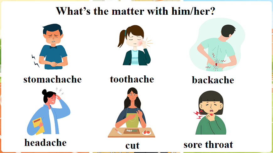 第6课时（Project & Reading Plus）.pptx第3页