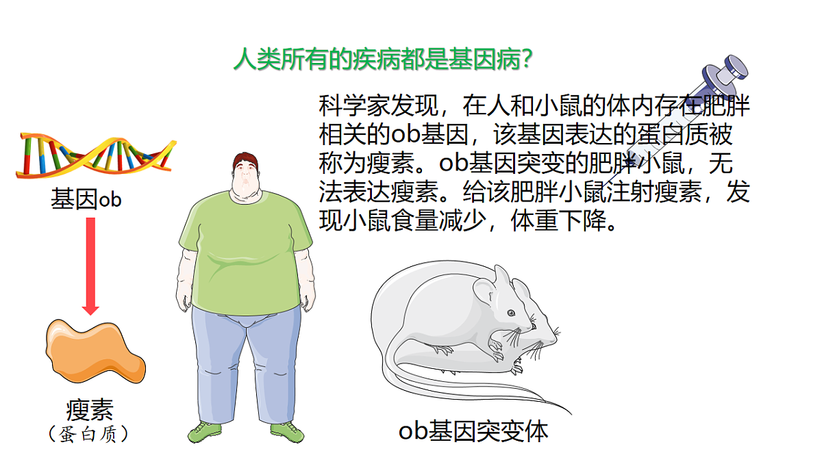 【同步授课课件】人教版高中生物必修二 遗传与进化第五章5.3 人类遗传病第3页