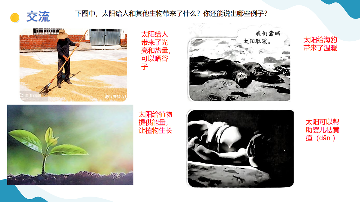 17847463第4页