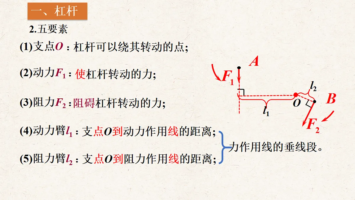 沪科版八年级物理全册教学课件《11.1 探究：杠杆的平衡条件》第8页