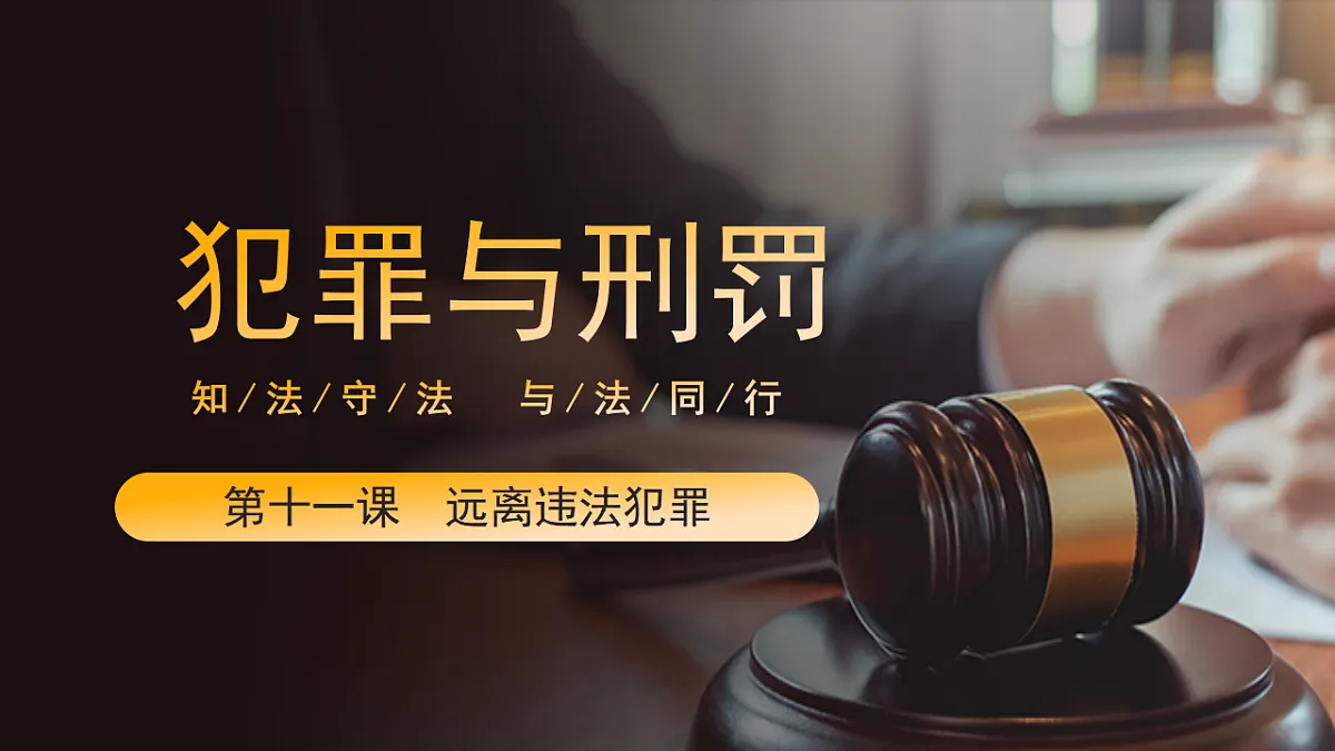 部编人教版初中道德与法治七年级下册 11.2犯罪与刑罚 课件第4页