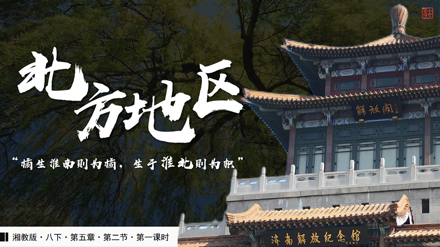 17848308第1页