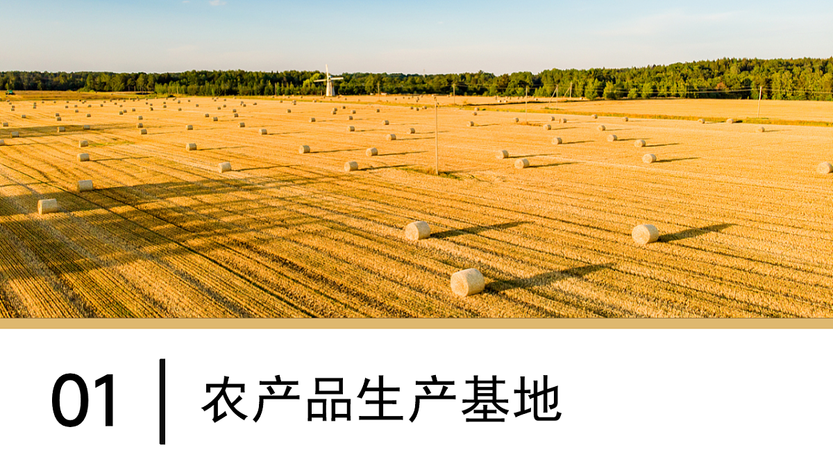 6.3【课件】东北地区的产业布局—— 2026年新教材湘教版初二地理下册第7页