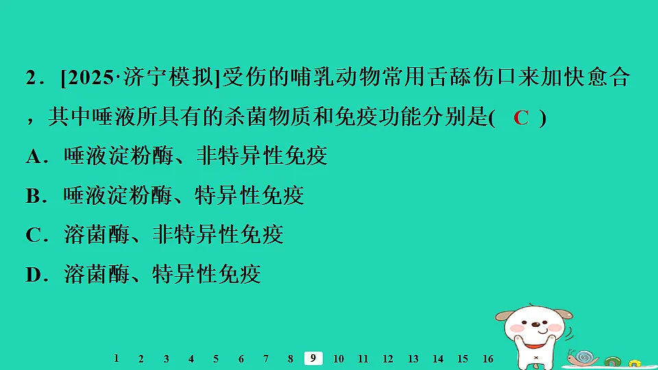 2025八年级生物上册第四单元疾病预防与人体降第一章传染病与免疫第三节免疫习题课件冀少版（含答案）第4页