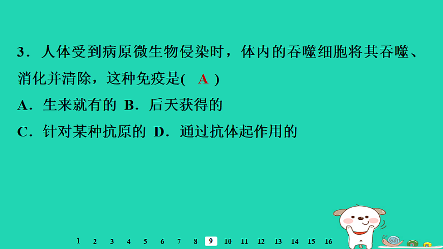 2025八年级生物上册第四单元疾病预防与人体降第一章传染病与免疫第三节免疫习题课件冀少版（含答案）第5页