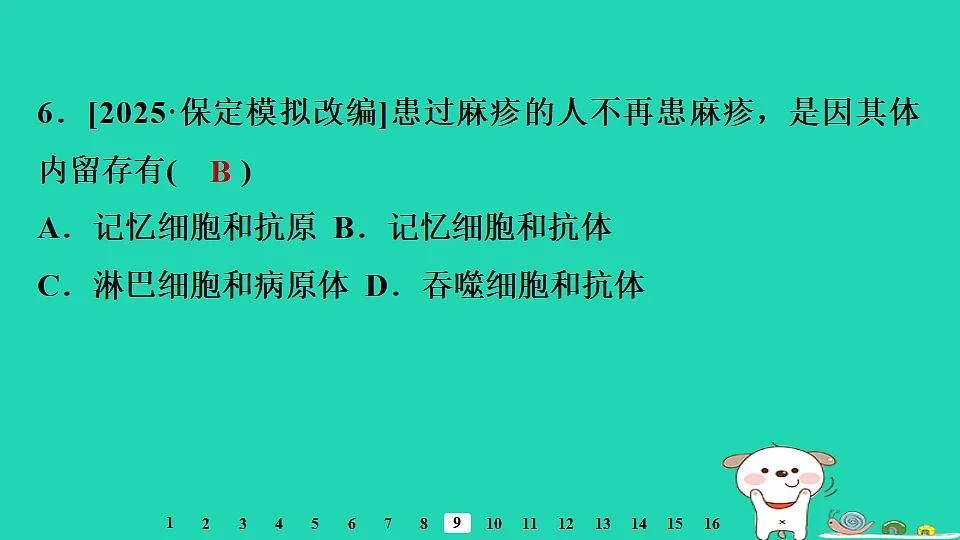 2025八年级生物上册第四单元疾病预防与人体降第一章传染病与免疫第三节免疫习题课件冀少版（含答案）第8页