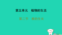 冀少版（2024）八年级上册（2024）第二节 根的生长习题ppt课件