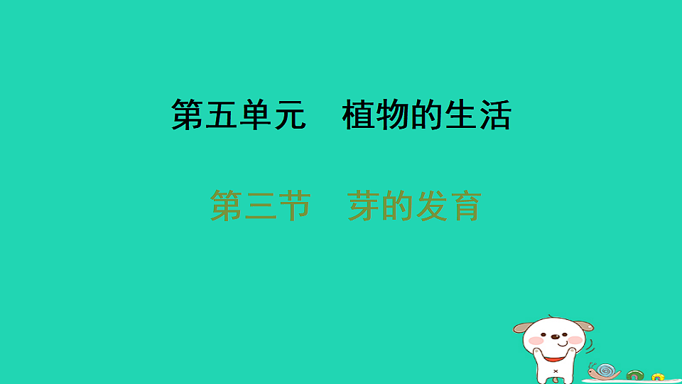 2025八年级生物上册第五单元植物的生活第一章绿色开花植物的一生第三节芽的发育习题课件冀少版（含答案）第1页