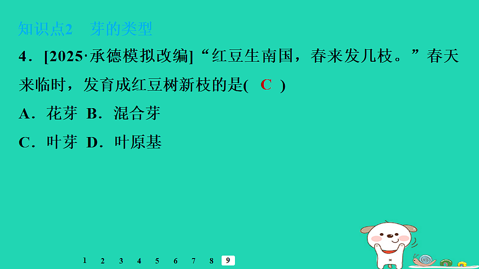 2025八年级生物上册第五单元植物的生活第一章绿色开花植物的一生第三节芽的发育习题课件冀少版（含答案）第6页