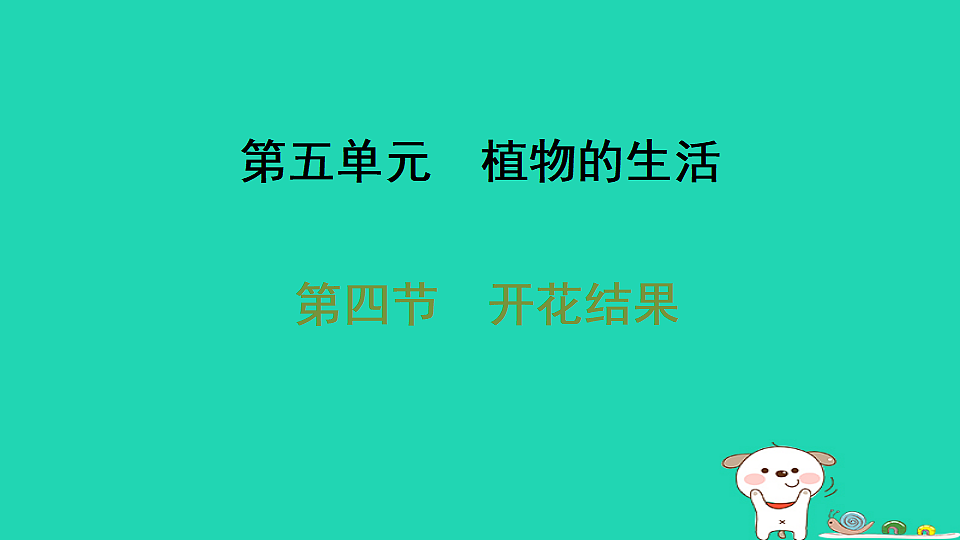 2025八年级生物上册第五单元植物的生活第一章绿色开花植物的一生第四节开花结果习题课件冀少版（含答案）第1页