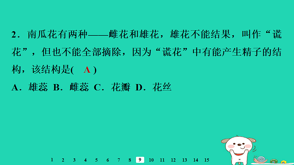 2025八年级生物上册第五单元植物的生活第一章绿色开花植物的一生第四节开花结果习题课件冀少版（含答案）第4页