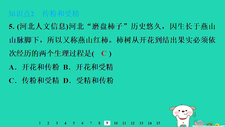 2025八年级生物上册第五单元植物的生活第一章绿色开花植物的一生第四节开花结果习题课件冀少版（含答案）第7页