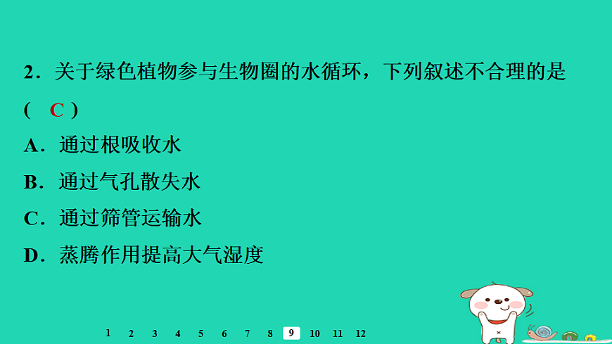 2025八年级生物上册第五单元植物的生活第二章植物与生物圈中的水循环章末整合复习习题课件冀少版（含答案）第4页