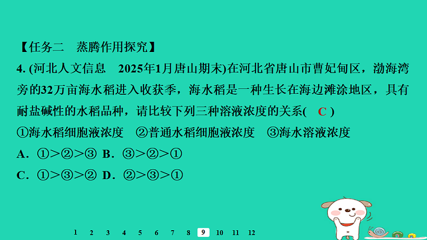 2025八年级生物上册第五单元植物的生活第二章植物与生物圈中的水循环章末整合复习习题课件冀少版（含答案）第6页