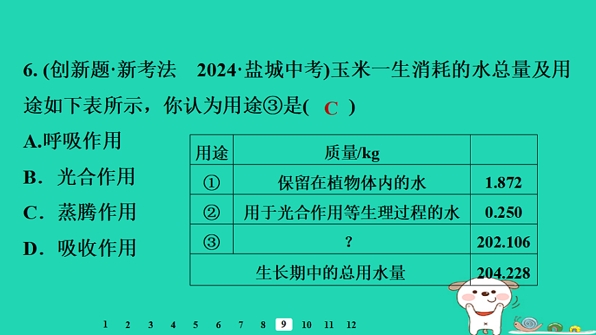 2025八年级生物上册第五单元植物的生活第二章植物与生物圈中的水循环章末整合复习习题课件冀少版（含答案）第8页